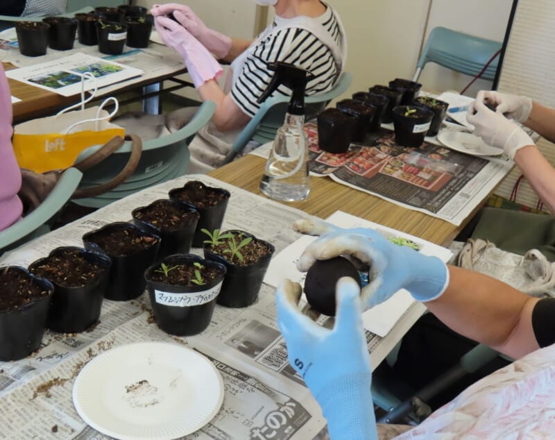 プロに学ぶ園芸 画像